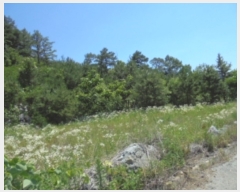  2019Ÿ��3628 ��� ���ֽ� ���Ⱥ��� ��õ�� 758-1      ����(�Ӿ�)���