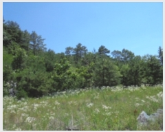  2019Ÿ��3628 ��� ���ֽ� ���Ⱥ��� ��õ�� 758-1      ����(�Ӿ�)���