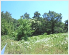  2019Ÿ��3628 ��� ���ֽ� ���Ⱥ��� ��õ�� 758-1      ����(�Ӿ�)���