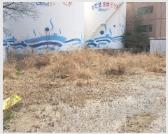  2019Ÿ30743  ֽ Ⱥ õ 201-3      ()