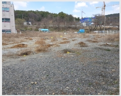  2019Ÿ30743  ֽ Ⱥ õ 201-3      ()