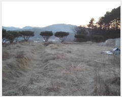  2019Ÿ110834 Ưġ ݳ ڸ 55-4       (Ӿ)