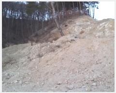  2019Ÿ110834 Ưġ ݳ ڸ 55-4       (Ӿ)