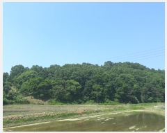  2019Ÿ��7037 ���� ������ �浿 ��105-20       ����(�Ӿ�)���