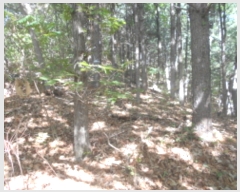  2019Ÿ��7037 ���� ������ �浿 ��105-20       ����(�Ӿ�)���