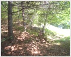  2019Ÿ��7037 ���� ������ �浿 ��105-20       ����(�Ӿ�)���