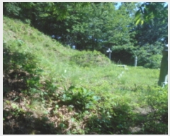  2019Ÿ��7037 ���� ������ �浿 ��105-20       ����(�Ӿ�)���