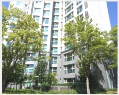  2019Ÿ106422   볲 26, 918 3303ȣ (뵿,Ƚŵ9ƮǮƼƮ)    Ʈ