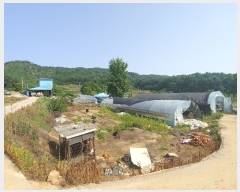  2019Ÿ��20913 �泲 ����� �뼺�� ��Ƽ�� 381      ����(����)���