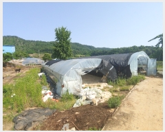  2019Ÿ��20913 �泲 ����� �뼺�� ��Ƽ�� 381      ����(����)���