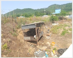  2019Ÿ��20913 �泲 ����� �뼺�� ��Ƽ�� 381      ����(����)���