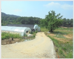  2019Ÿ��20913 �泲 ����� �뼺�� ��Ƽ�� 381      ����(����)���