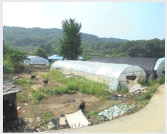  2019Ÿ��20913 �泲 ����� �뼺�� ��Ƽ�� 381      ����(����)���