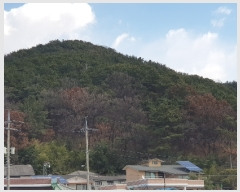  2019Ÿ551 泲   긮 75-2      (Ӿ)