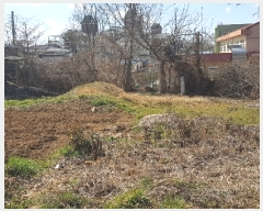  2019Ÿ551 泲   긮 75-2      (Ӿ)