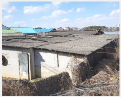  2019Ÿ551 泲   긮 75-2      (Ӿ)