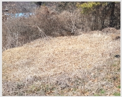  2019Ÿ551 泲   긮 75-2      (Ӿ)