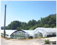  2019Ÿ��2229 �泲 �ο��� ��ϸ� ���ϸ� 902-1      ����(��)���