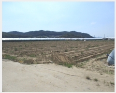  2019Ÿ��2229 �泲 �ο��� ��ϸ� ���ϸ� 902-1      ����(��)���