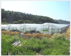  2019Ÿ��2229 �泲 �ο��� ��ϸ� ���ϸ� 902-1      ����(��)���