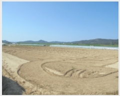  2019Ÿ��2229 �泲 �ο��� ��ϸ� ���ϸ� 902-1      ����(��)���