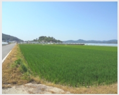  2019Ÿ��2229 �泲 �ο��� ��ϸ� ���ϸ� 902-1      ����(��)���