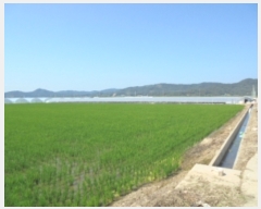  2019Ÿ��2229 �泲 �ο��� ��ϸ� ���ϸ� 902-1      ����(��)���