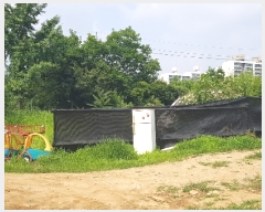  2019Ÿ2274 泲   縮 232-32      ()
