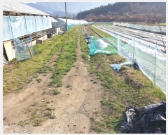  2019Ÿ��20517 �泲 ����� ���̸� ��ȭ�� 64-1      ����(��1)���