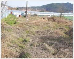  2019Ÿ��20517 �泲 ����� ���̸� ��ȭ�� 64-1      ����(��1)���