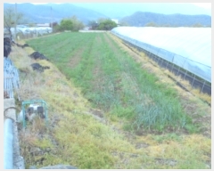  2019Ÿ��20517 �泲 ����� ���̸� ��ȭ�� 64-1      ����(��1)���