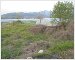  2019Ÿ��20517 �泲 ����� ���̸� ��ȭ�� 64-1      ����(��1)���