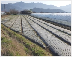  2019Ÿ��20517 �泲 ����� ���̸� ��ȭ�� 64-1      ����(��1)���