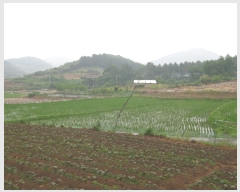  2019Ÿ��21015 �泲 �ο��� �ܻ�� �ݱ��� 14-1      ����(��1)���