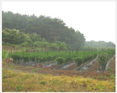  2019Ÿ��21015 �泲 �ο��� �ܻ�� �ݱ��� 14-1      ����(��1)���