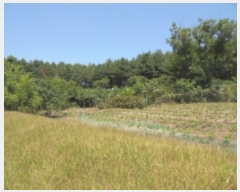  2019Ÿ��21015 �泲 �ο��� �ܻ�� �ݱ��� 14-1      ����(��1)���