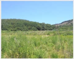  2019Ÿ��21015 �泲 �ο��� �ܻ�� �ݱ��� 14-1      ����(��1)���