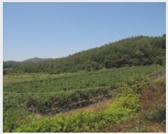  2019Ÿ��21015 �泲 �ο��� �ܻ�� �ݱ��� 14-1      ����(��1)���