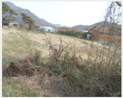  2019Ÿ��724 �泲 ���ֽ� ���� �ϴ븮 507      ����(��1)���