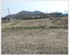  2019Ÿ��724 �泲 ���ֽ� ���� �ϴ븮 507      ����(��1)���