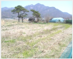  2019Ÿ��724 �泲 ���ֽ� ���� �ϴ븮 507      ����(��1)���