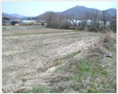  2019Ÿ��724 �泲 ���ֽ� ���� �ϴ븮 507      ����(��1)���