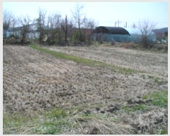  2019Ÿ��724 �泲 ���ֽ� ���� �ϴ븮 507      ����(��1)���