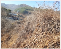  2019Ÿ��20179 �泲 ���ֽ� ���� ������ 690      ����(��)���