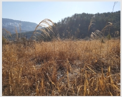  2019Ÿ��20179 �泲 ���ֽ� ���� ������ 690      ����(��)���