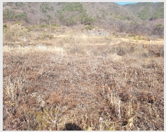  2019Ÿ��20179 �泲 ���ֽ� ���� ������ 690      ����(��)���