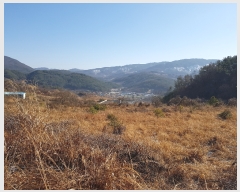  2019Ÿ��20179 �泲 ���ֽ� ���� ������ 690      ����(��)���