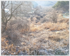  2019Ÿ��20179 �泲 ���ֽ� ���� ������ 690      ����(��)���