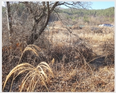  2019Ÿ��20179 �泲 ���ֽ� ���� ������ 690      ����(��)���