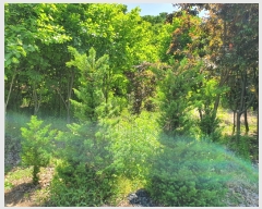  2019Ÿ20681 泲 ֽ  ſ 203-1      (1)